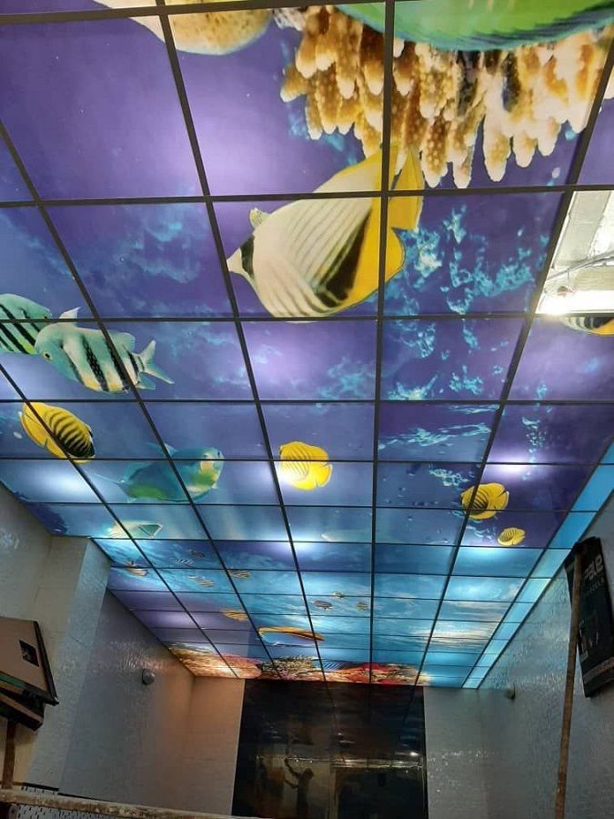 آسمان مجازی آران طرح آکواریوم نصب شده در سقف استخر با تصویر ماهی‌ها و مرجان‌ها