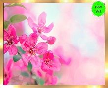 آسمان مجازی نامنظم