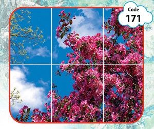 طرح آسمان مجازی شکوفه