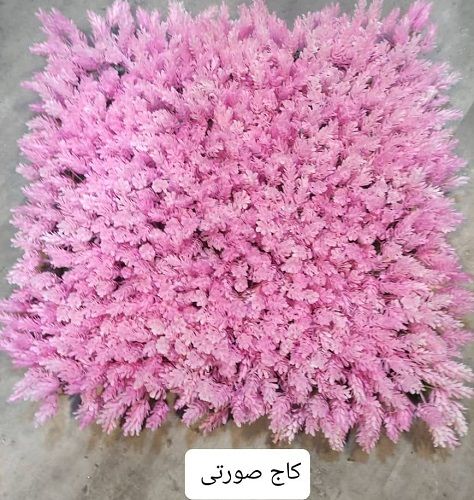 دیوار سبز مصنوعی 3