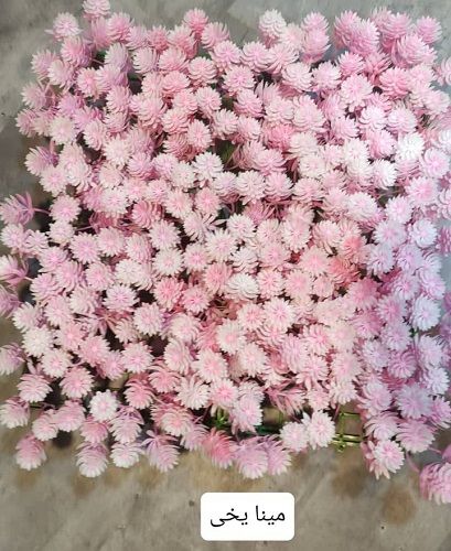 دیوار سبز مصنوعی 4