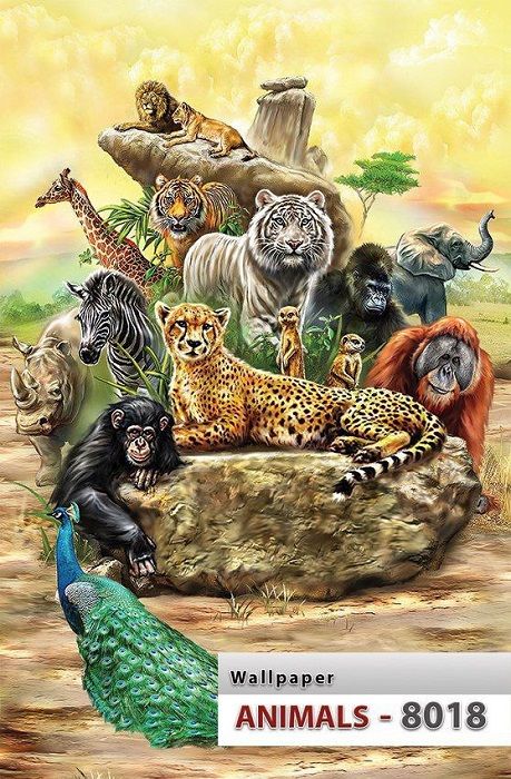 پوستر حیوانات 2