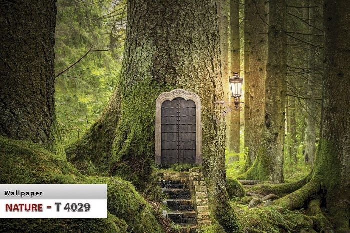 پوستر طبیعت 3