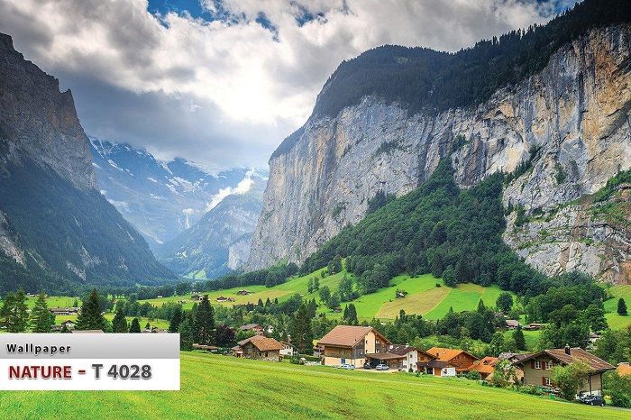 پوستر طبیعت 4