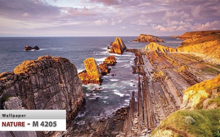 پوستر طبیعت 6