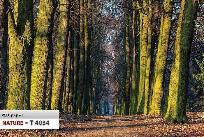 پوستر طبیعت 7