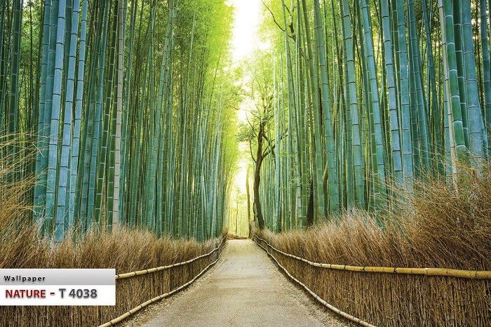 پوستر طبیعت 9